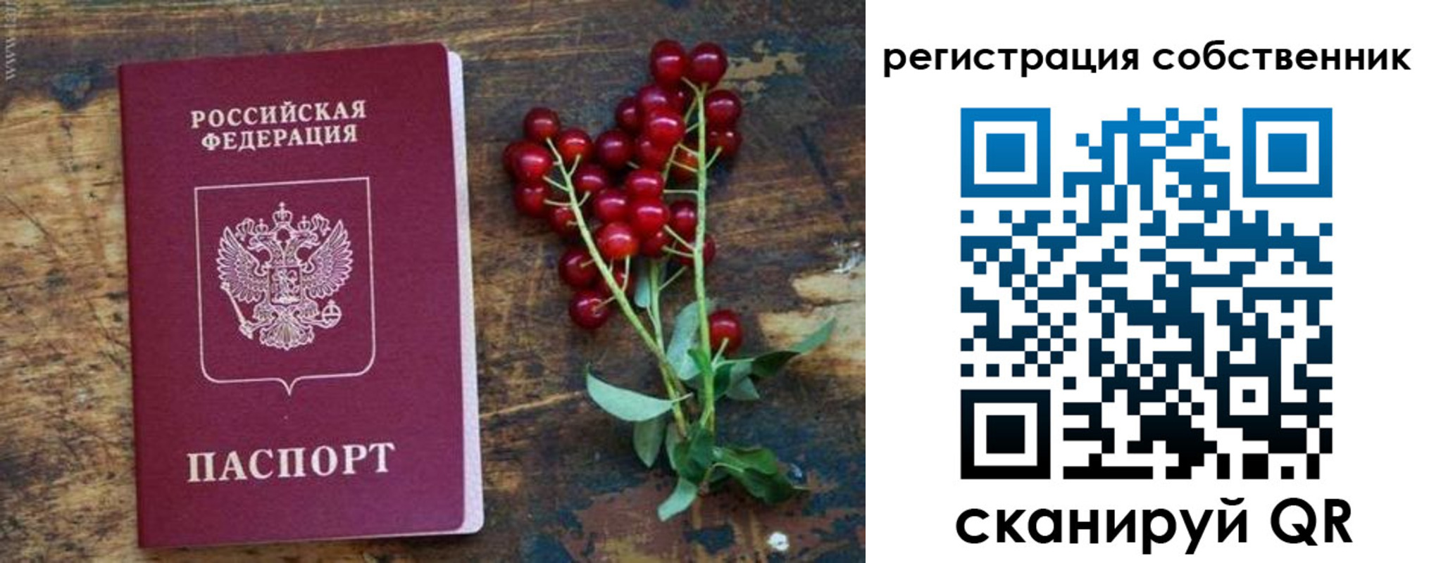 регистрация для дет. сада в Элисте